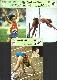1977-79 Sportscaster #.04-24 BRUCE JENNER + #22-19 + #44-14 - LOT of (3)