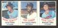 1977 Hostess PANEL # 46-47-48  - Mark Fidrych ROOKIE ...