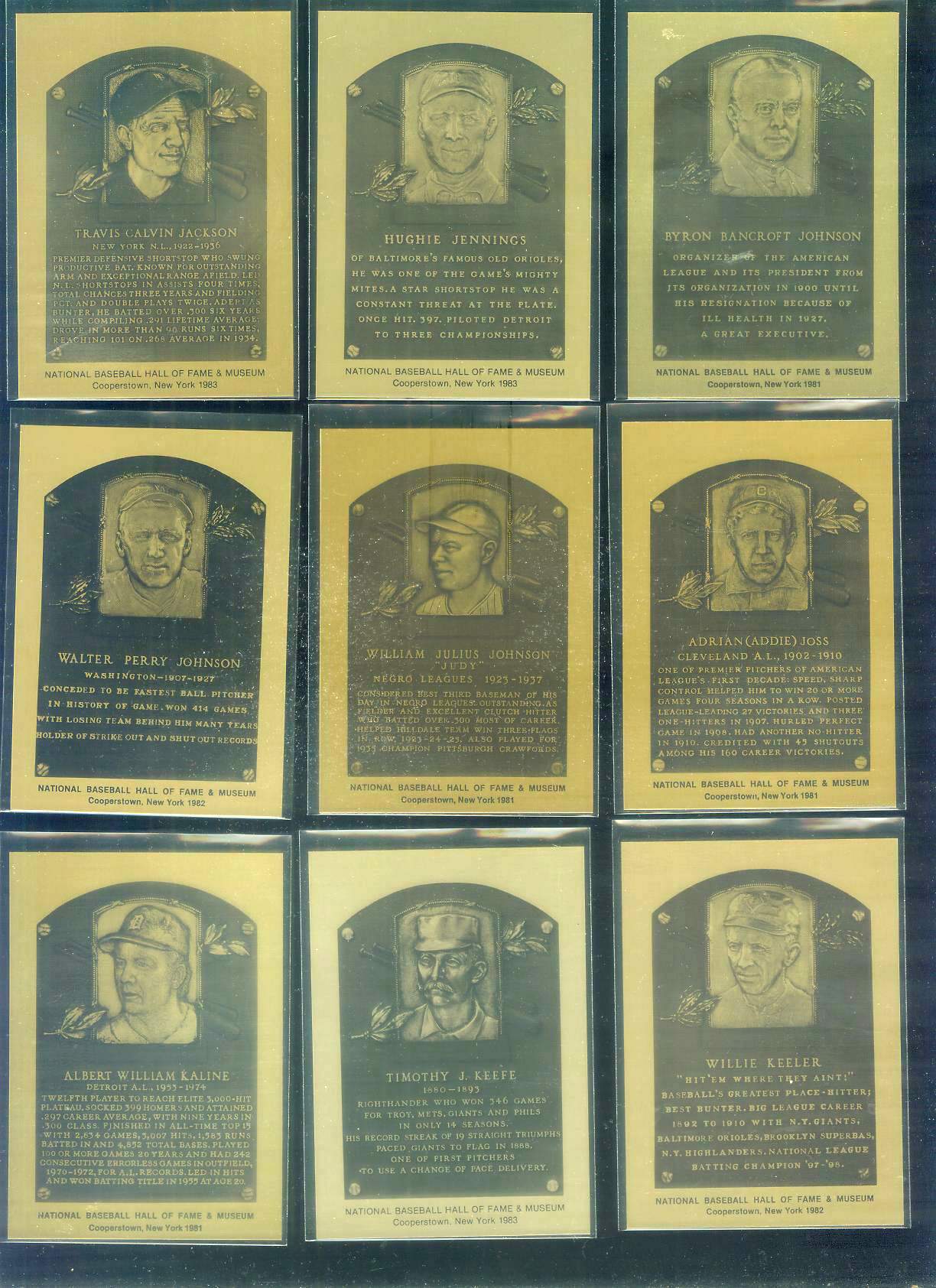 1981-89 Hall-of-Fame METAL PLAQUE # 26 Judy Johnson  cards value
