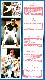 1984 Topps Stickers Panel - Mike Schmidt & Rickey Henderson - Lot of (10)