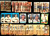 Will Clark COLLECTION - Lot of (600) ASSORTED cards !!!