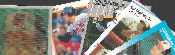 Cal Ripken  - 1986-1992 COLLECTION [#c] - Lot of (19) different
