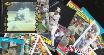 Cal Ripken  - ODDBALL COLLECTION - Lot of (35) different
