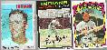 Graig Nettles *** TOPPS COLLECTION *** - Lot of (15) different (1970-1987)