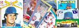 Ryne Sandberg -  ODDBALL [a] COLLECTION - Lot of (26) different 80's/90's