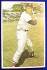 #13 Ted Williams - 1982 TCMA Stars of the 50's JUMBO (Red Sox)
