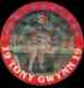 Tony Gwynn - 1987 Sportflics #7 JUMBO DISC (Padres)