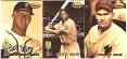 1993 Ted Williams Co - GOIN' NORTH - Complete subset (10 cards)