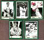 2005 Origins  UD PROMO - CARDINALS TEAM SET (5)