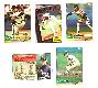 Astros - 1994 Topps BILINGUAL (Spanish) - COMPLETE TEAM SET (25)