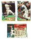 Brewers - 1994 Topps BILINGUAL (Spanish) - COMPLETE TEAM SET (29)