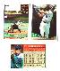 Royals - 1994 Topps BILINGUAL (Spanish) - COMPLETE TEAM SET (26)