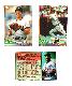 Tigers - 1994 Topps BILINGUAL (Spanish) - COMPLETE TEAM SET (28)