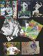 Chan Ho Park  *** COLLECTION *** - Lot of (72) with (55) different !!!