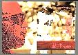 Mo Vaughn - 1996 Aficionado FIRST PITCH PREVIEW/PROMO (Red Sox)