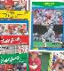 Todd Zeile - Lot of (31) different with ROOKIES & inserts (Cardinals)