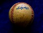 1993 Yankees - Team Signed/AUTOGRAPHED baseball [#ed01] w/26 Signatures