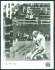 Y.A. Tittle - Autographed 8x10 B&W 'Famous Bloody Photo'