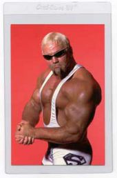 Semi-Rigid CARD SAVER IV size -  Pack of (100)  cards value