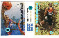 David Robinson -  1995-1996 Skybox PROMO PANEL w/Grant Hill