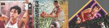 Toni Kukoc  *** COLLECTION *** - Lot of (46) different