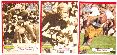 1994 Ted Williams Co. - Path to Greatness [Red] - Complete (9) card set