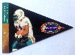 1997 Playoff Pennants #A3 Karim Abdul-Jabbar AUTOGRAPHED insert (Dolphins)