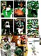 Keyshawn Johnson *** COLLECTION *** - Lot of (18) w/(15) 1996 ROOKIES !!!