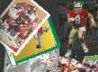 Steve Young *** COLLECTION *** - Lot of (24) different