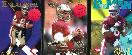 Steve Young -  COLLECTOR's EDGE - Lot of (10) w/(7) inserts/parallels !!!
