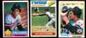 Rod Carew - 1976-1986 TOPPS COLLECTION - Lot (18) different