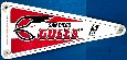San Diego GULLS (IHL) - Hockey Window Pennants - Lot of (8)