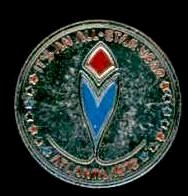 1972 Atlanta BRAVES ALL-STAR GAME Press Pin (w/LOA & other doc.)  cards value