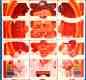 Babe Ruth - 1981/82 Donruss 'Diamond Kings' Puzzle - Complete 63 piece set
