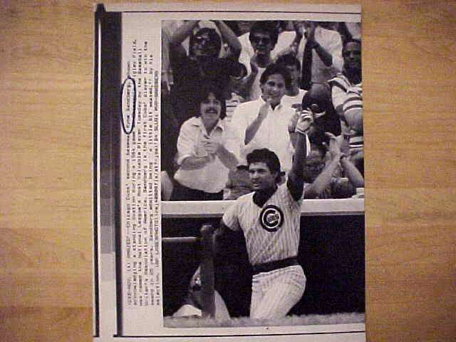 WIREPHOTO: Ryne Sandberg - [11/14/84] 'Amazed' (Cubs)  cards value